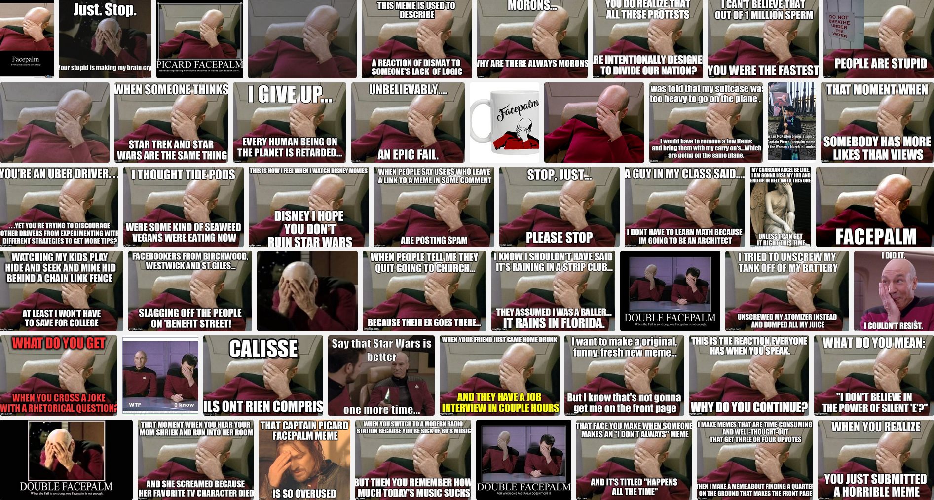 Suchergebnisse für "Picard Facepalm Meme" (Screenshot: DuckDuckGo.com, 10.03.2019)